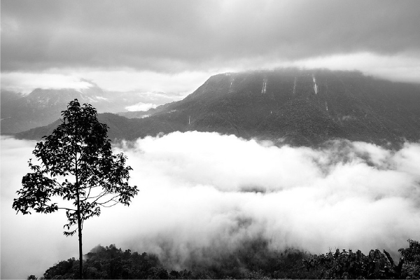 Deep Meghalaya — Guwahati · Shillong · Cherrapunjee